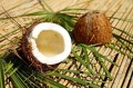 coconut-1501334_640_1575373473.jpg